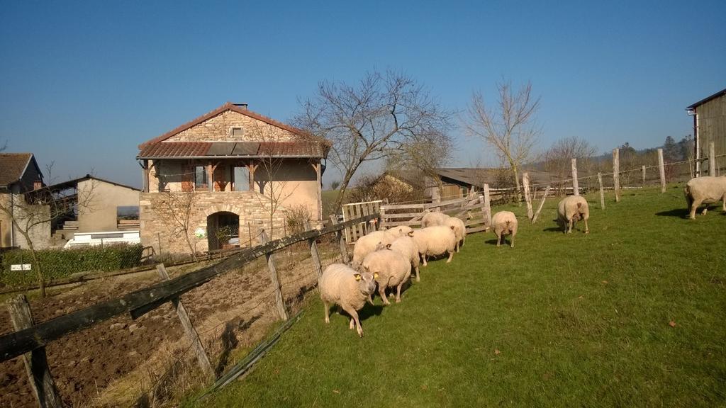 Bed and Breakfast Ferme De La Corbette Cluny Exteriér fotografie